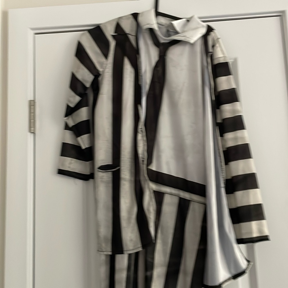 Worn once. Youth L Beetlejuice costume. Purchased from Target. Jumpsuit